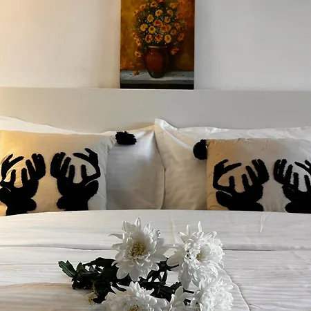 Apartment Romantic Charm, Spa, Free Early Check-in Bukarest